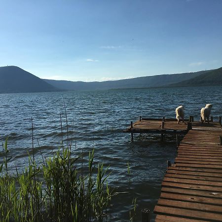 La Finestra Sul Lago Ronciglione  Eksteriør billede