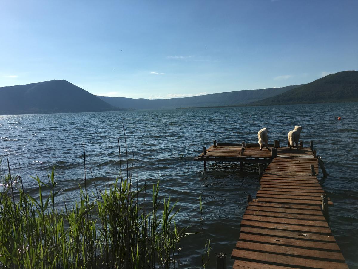 La Finestra Sul Lago Ronciglione  Eksteriør billede