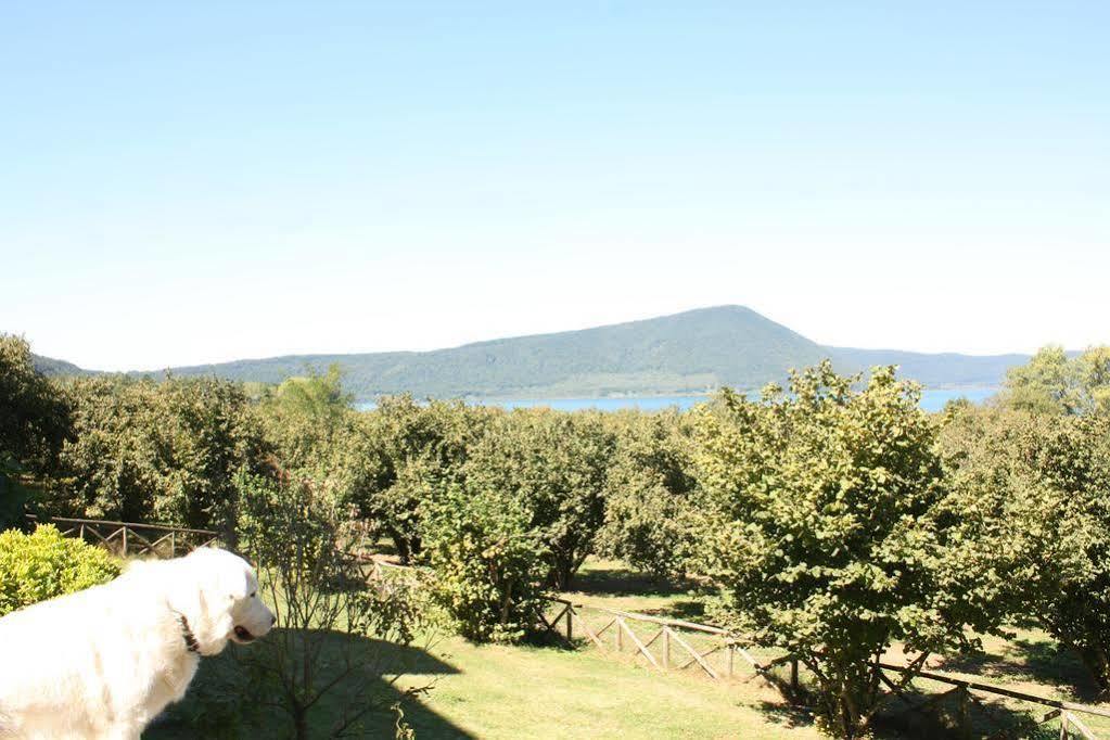 La Finestra Sul Lago Ronciglione  Eksteriør billede